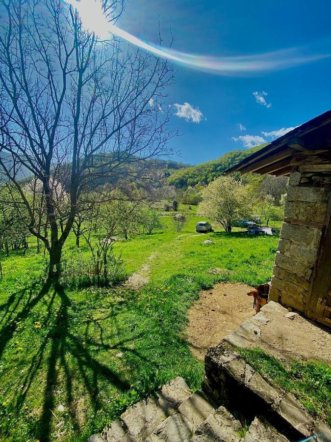 Cottage Modrich Struga Esterno foto