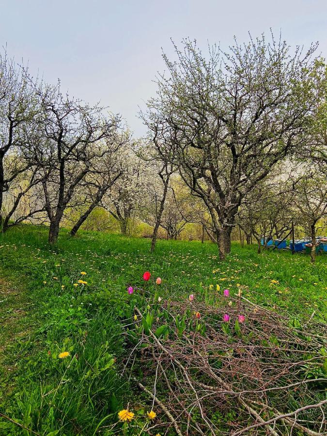 Cottage Modrich Struga Esterno foto