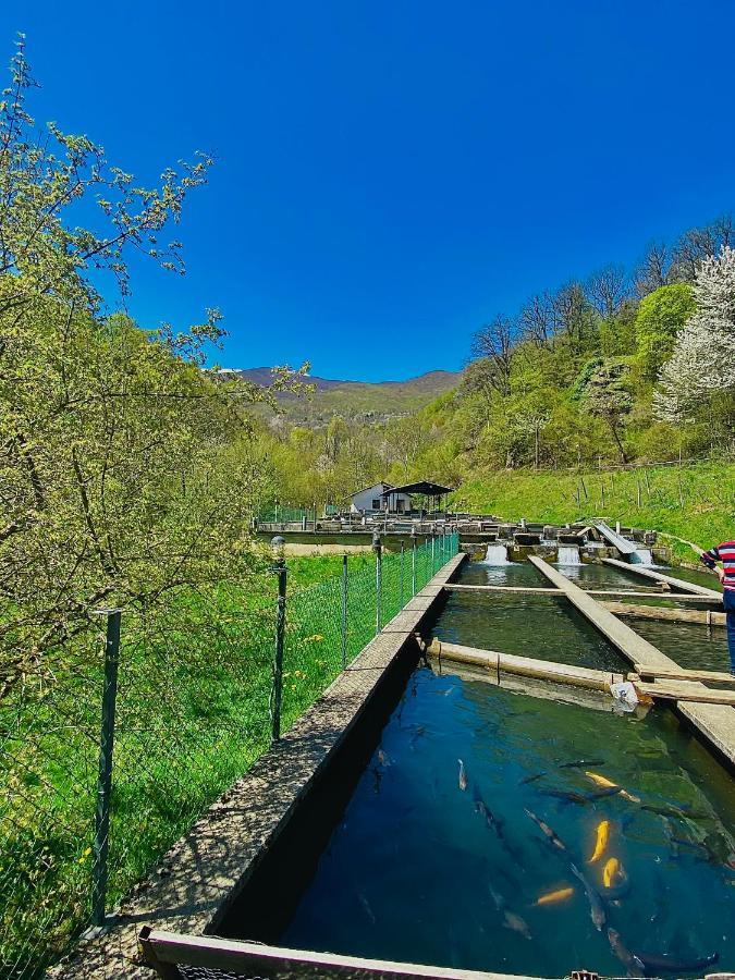 Cottage Modrich Struga Esterno foto