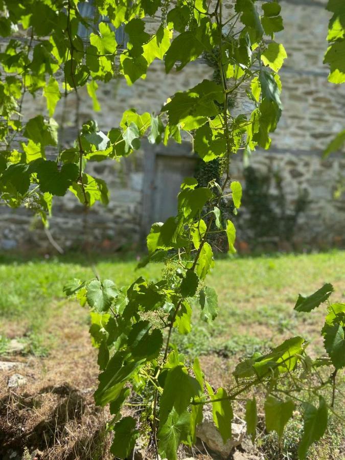 Cottage Modrich Struga Esterno foto