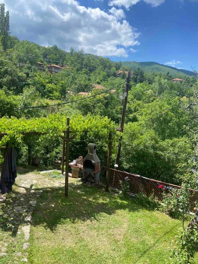 Cottage Modrich Struga Esterno foto